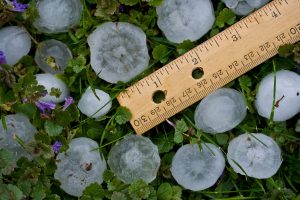 Solar panels withstand hailstorms with hailstones up to 1 inch in length