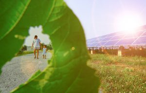 The Future of Solar